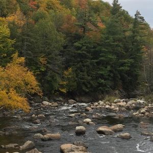 Meet your Posher, Barb